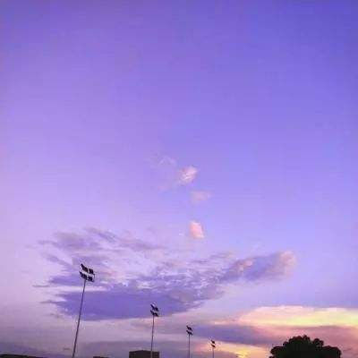 半导综合体育下载